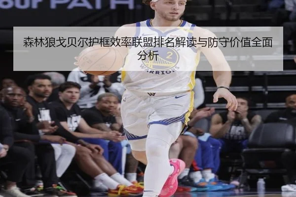 森林狼戈贝尔护框效率联盟排名解读与防守价值全面分析