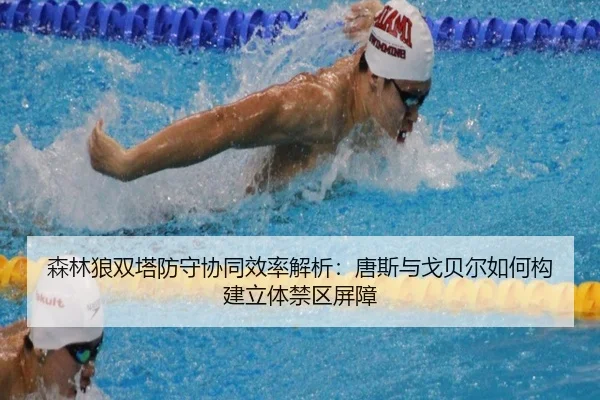森林狼双塔防守协同效率解析：唐斯与戈贝尔如何构建立体禁区屏障（okooo）