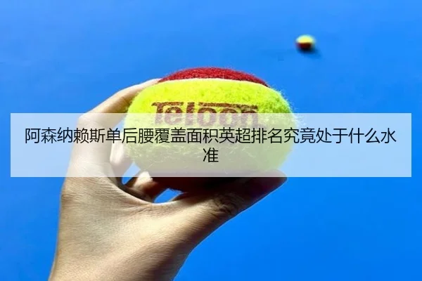 阿森纳赖斯单后腰覆盖面积英超排名究竟处于什么水准（okooo）